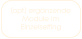 (opt.) ergänzende Module imEinzelsetting